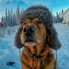 Владимир Любезнов, 04.09.1985, Москва