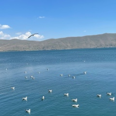 Константин Танюкевич, Уфа