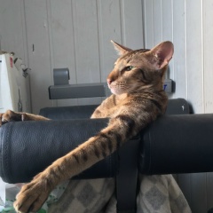 Шамиль Абдусаламович, 24.01, Москва