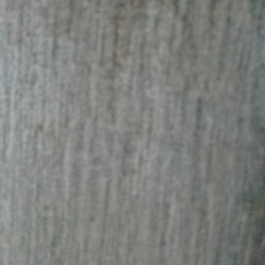 Владислава Фокина, 16.08.2006, Челябинск