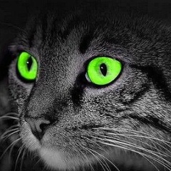 Ирина Корпан, 16.12, Киев