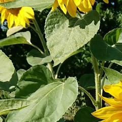 Виктория Сорокина, 13.09.1983, Санкт-Петербург