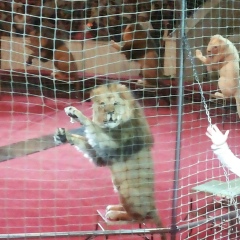 Танат Шыназбаев, 22.05.1989, Астана