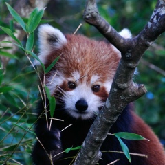 Сергей Власов, 07.03.1985, Москва