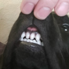 Алексей Корончик, 24.11.1992, Минск