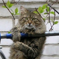 Святослав Плохотниченко, 04.06