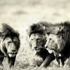 Ерсултан Егеубеков, 28.11, Алматы