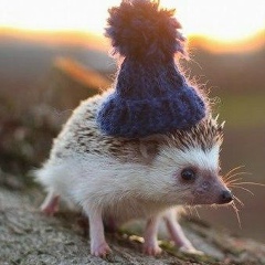 Андрей Митин, 19.03