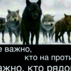 Идрис Юнусов