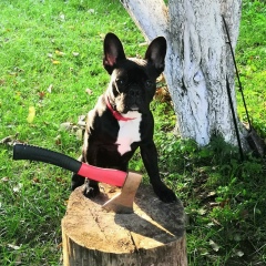 Татьяна Покатович, 09.10, Санкт-Петербург