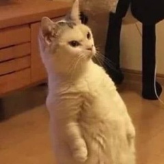 Евгений Ахраменя, München