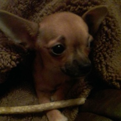 Юлия Леушина, 28.12.1978, Санкт-Петербург