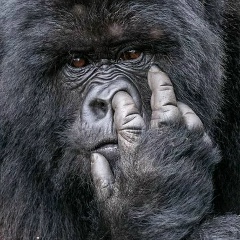 Александр Смирнов, 10.09.1982, Санкт-Петербург