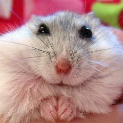 Данияр Дәулетбай, 17.05, Кокшетау