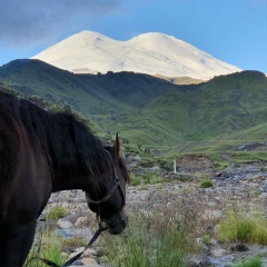 Алим Кодзоков, 03.11, Баксан