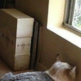 Вика Соловей, 22.02