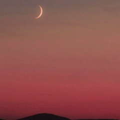 Айнур Асанбаева, 08.12.1986, Алматы