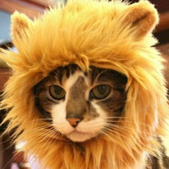 Алексей , 11.12.1997, Южно-Сахалинск