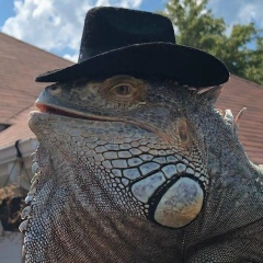 Илья Волотов, 25.08, Москва