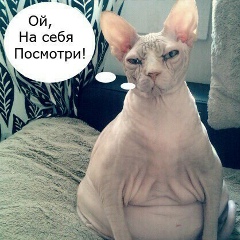 Ташечка Градусова, 12.09, Санкт-Петербург