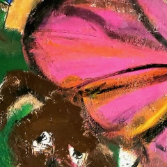 Женя Колыжев, Санкт-Петербург