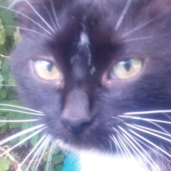 Маргарита Лайко, 10.04, Санкт-Петербург