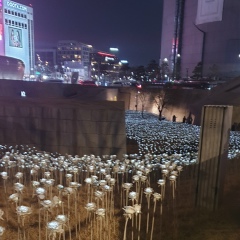 Аленка Нехаева, 01.05, Москва