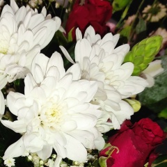 Ксения Амелина, 03.01.1992