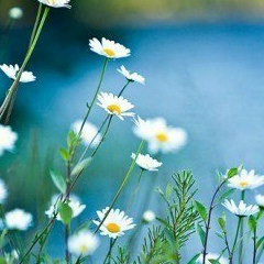 Галия Хисматуллина, 23.12