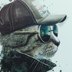 Денис Хасанов, 15.03.1987, Пермь