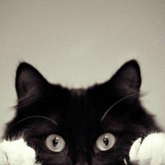 Елена Абронова, 28.01.1986, Старая Русса