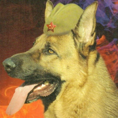Светлана Светланова, Новокузнецк
