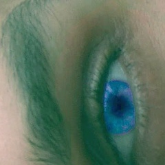 Алексей Безлепкин, Ярославль