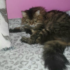 Арина Томарова, 11.09.2005