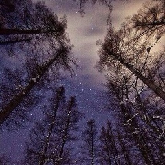 Екатерина Сопина, Москва
