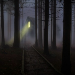 Anastasia Donner, Hannover