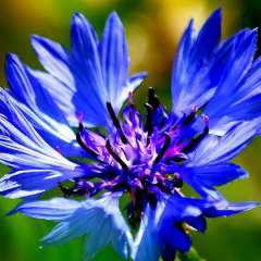 Людмила Таржанова, 31.10, Санкт-Петербург