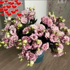 Эльвира Бутаева, 17.04, Новоселицкое