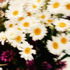 Оксана Мироненко, 09.01, Сургут