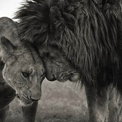 Ербол Нурболатулы, 09.09.1991, Семей