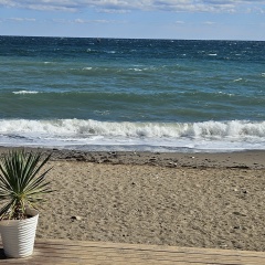 Анна Викторова, 20.12, Санкт-Петербург