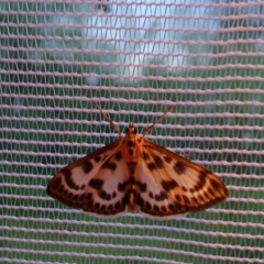 Tatyana Lyapina, 07.01