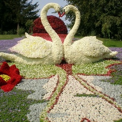 Ольга Белозор, 30.12, Херсон