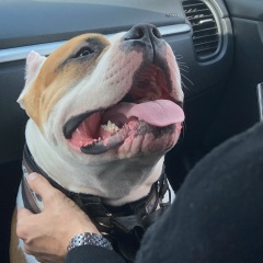 Хопа Хип-Хопа, 21.03.1989, Калининград