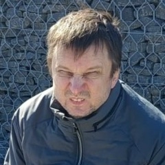 Антон Дворецкий, Великий Новгород