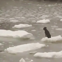 Алик Назаренко, 09.02.1986, Кривой Рог