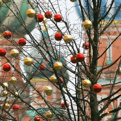 Ирина Кормилицына, 23.06.1983, Москва