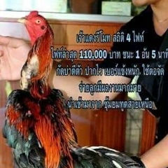 Jakkrid Puangmala, 10.05.1992