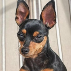 Tatyana Lipova, 27.11, Санкт-Петербург