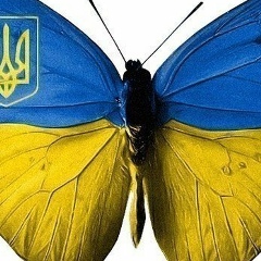 Наталья Ведмидь, Ромны